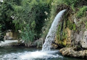 הפתעה באמצע הכנרת: המפל הנסתר בעין איוב